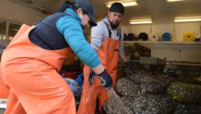 Eld, Henderson Inlets may see shellfish harvest restrictions due to fecal pollution