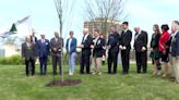 Liberty tree planted at Michigan Veterans Memorial Park in Lansing