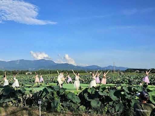 台南400！白河蓮田芭蕾翩翩起舞 令人沉醉