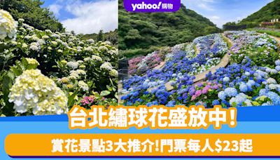 台灣繡球花2024｜台北繡球花花海盛放中！陽明山賞花景點3大推介 門票每人$23起