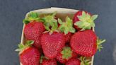 New strawberry types are guaranteed to sweeten your taste buds