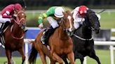 Trustyourinstinct to stick to the flat after group triumph