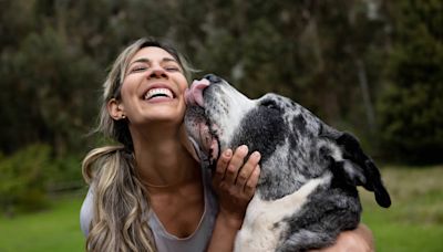 Why Does My Dog Lick Me When I Pet Her? Animal Experts Share the Surprising Reasons