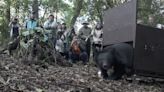 受困小台灣黑熊歷經7個月照養 傷癒重返山林
