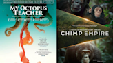 Best Animal Documentaries on Netflix: My Octopus Teacher, The Hidden Lives Of Pets & More
