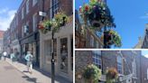 'Lovely' floral hanging basket displays return to town centre