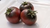 The Scientific Reason Cherokee Purple Tomatoes Look So Funky