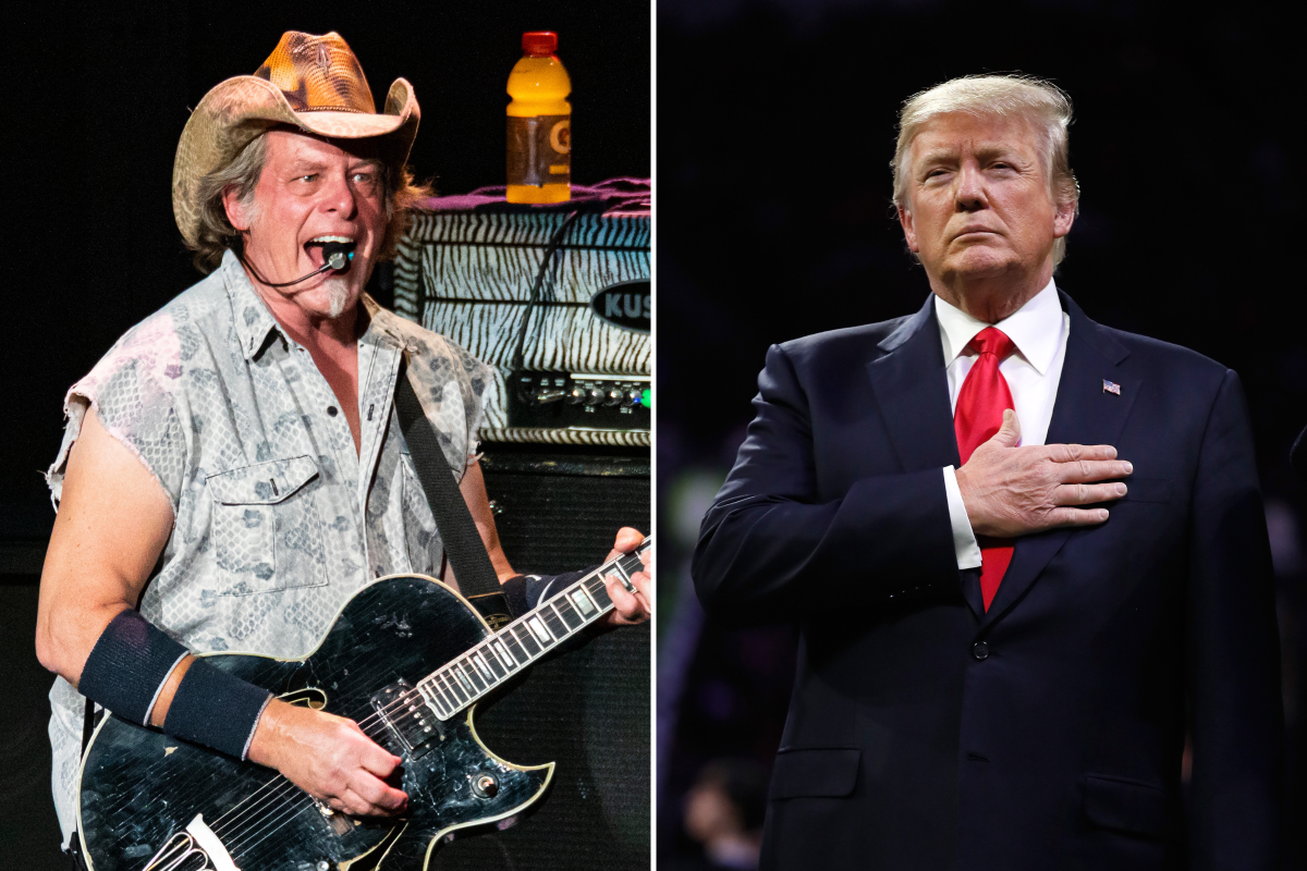 Ted Nugent's Donald Trump message goes viral—"I'm not insane"