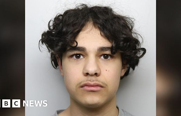 Alfie Lewis: Leeds teenager detained for life for murder