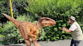 Dinosaur Discovery: Roar-some fun at Apley Farm Shop