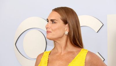 Brooke Shields has found a job she ‘doesn’t resent’—the model and screen actor is fighting for stage actors’ well-being