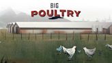 ‘Big Poultry’ series aims to take readers behind the canopy of a secretive NC industry