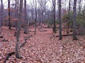 Pohick Bay Regional Park