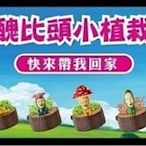 全家 醜比頭 KOBITOS 農場物語 小植栽 (全套5款)現貨.