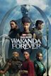 Black Panther II: Wakanda Forever