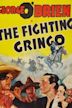 Fighting Gringo