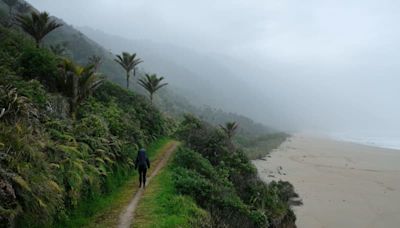 The rare birds and lush forests of New Zealand's Heaphy Track