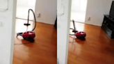 Video escalofriante: una tiktoker captó el momento exacto en el que un fantasma activó la aspiradora