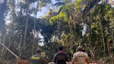 Polícia Federal identifica crimes ambientais na Terra Indígena 7 de Setembro