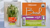 Salmonella infections linked to fresh basil sold in Wisconsin