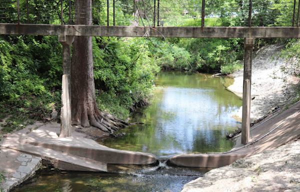 How Austin's leaky pipes are helping trees at University of Texas
