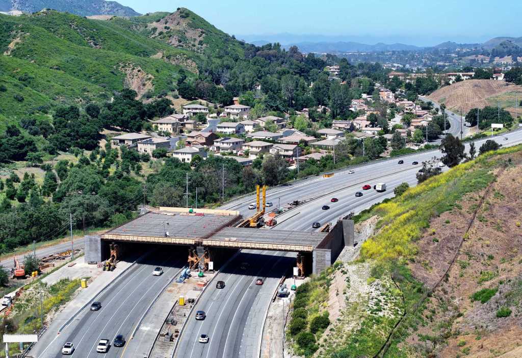 Dead mountain lion found on 101 Freeway near wildlife crossing site