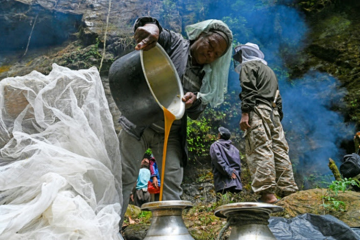 Sticky Future: Climate Change Hits Nepal's Honey Hunters