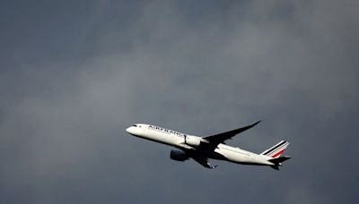 Air France y Lufthansa Group, entre investigadas por UE por "lavado de imagen verde"