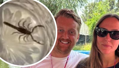 Deadly scorpion hid in couple's bag returning from Mexico honeymoon