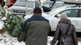 A suspected Bay Area Christmas tree thief was filmed casually pinching a new tree from a couple's SUV and loading it onto their own car