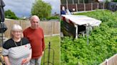 Homeowners left 'sick' by neighbours' 6ft high overgrown garden