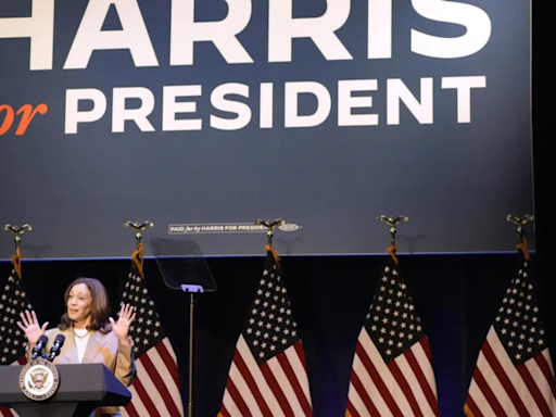 'White dudes for Harris' raise over $4 million, discuss women's rights - Times of India