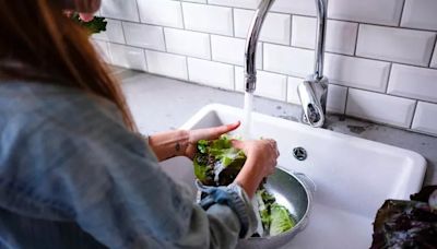 How to wash lettuce safely after parasites found on ready to eat vegetables