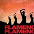 Flamenco Flamenco