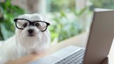 The Rise of Smart Pet Tech: How technology is revolutionizing the pet industry