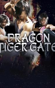 Dragon Tiger Gate