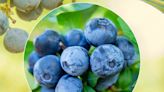 There's a New Kind of Blueberry in Stores Now