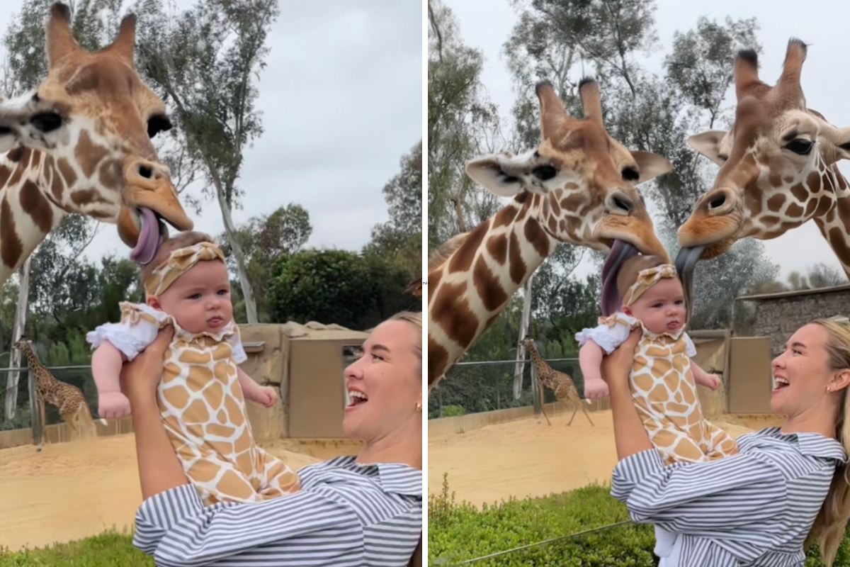 Auntie tricks sister with hilarious AI snaps of niece at the zoo: "too far"