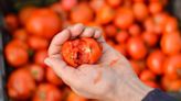 Not Hand-Crushing Your Canned Tomatoes Is A Big Textural Mistake