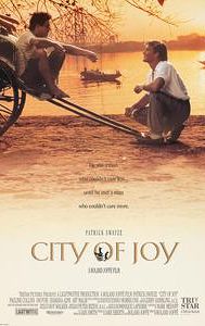 City of Joy (1992 film)