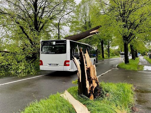 Mehr als 100 Einsätze: Feuerwehr löst wegen Unwetter Sonderalarm in Köln aus – Baum stürzt auf KVB-Bus