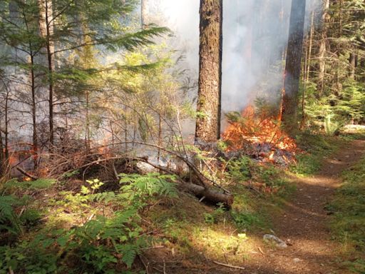 Hikers, residents act quickly to help stop Chilliwack forest fire from spreading