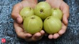 Amla: Benefits of this monsoon superfood, items you can prepare and how to consume - The Economic Times