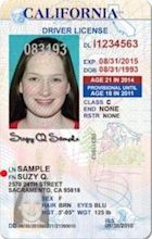 Driver's licenses in the United States