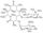 Clarithromycin