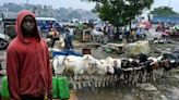 I.Coast relies on livestock from crisis-hit Sahel for Eid | Fox 11 Tri Cities Fox 41 Yakima