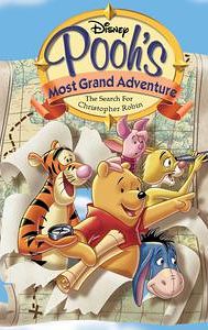 Pooh's Grand Adventure: The Search for Christopher Robin