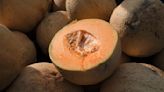 At least 17 people hospitalized with salmonella in outbreak linked to cantaloupe recall