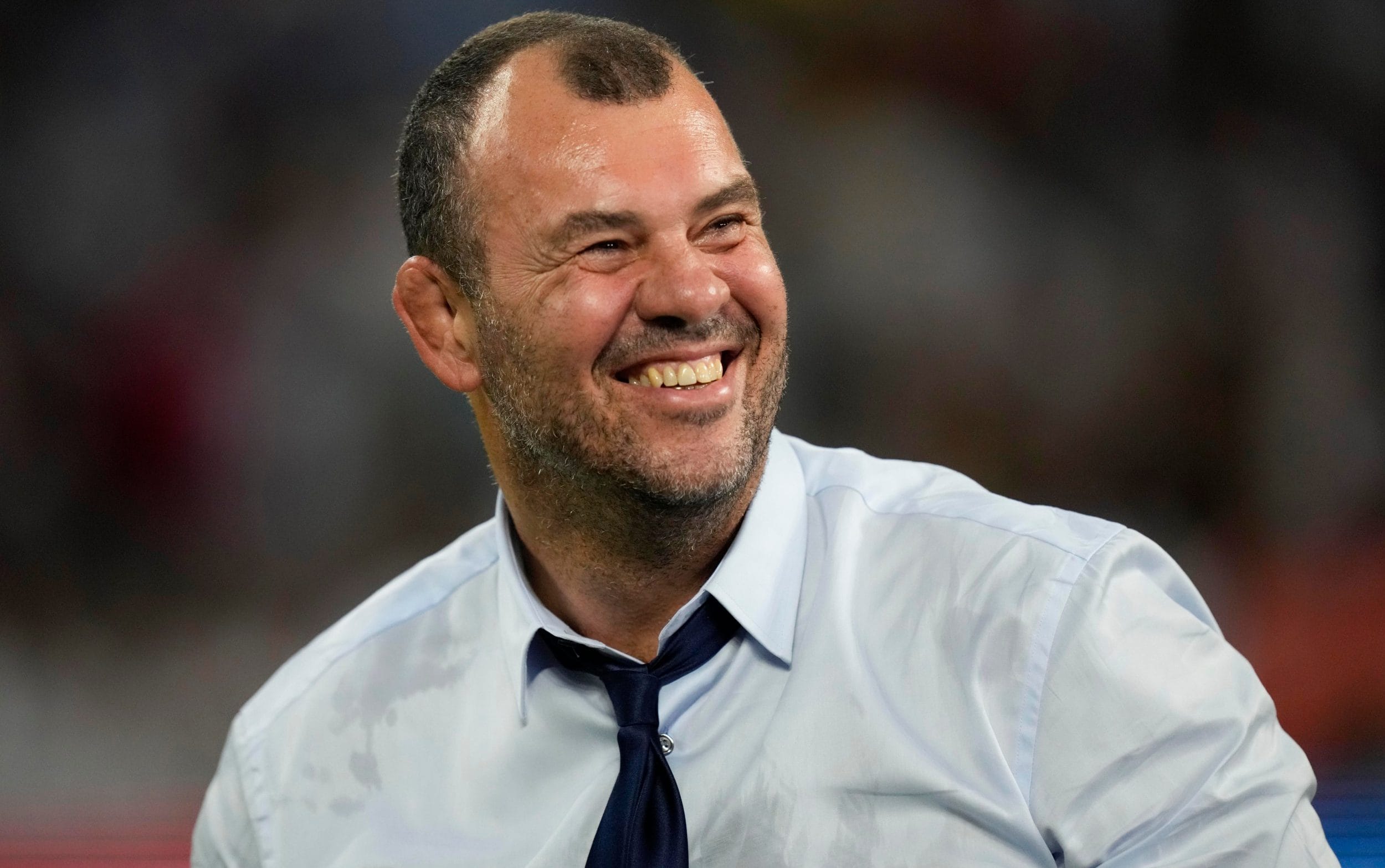 Leicester Tigers announce Michael Cheika as Dan McKellar’s replacement