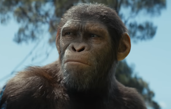 Kingdom of the Planet of the Apes Post-Credits Scene Check-In (No Spoilers)